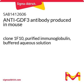 ANTI-GDF3 antibody produced in mouse clone 1F10, purified immunoglobulin, buffered aqueous solution