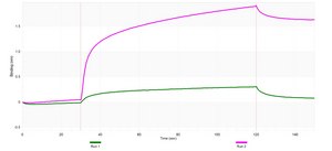 Anti-Perforin-1 Antibody, clone 1H11 ZooMAb® Rabbit Monoclonal recombinant, expressed in HEK 293 cells