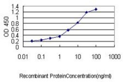 Monoclonal Anti-WFDC2 antibody produced in mouse clone 3F9, purified immunoglobulin, buffered aqueous solution