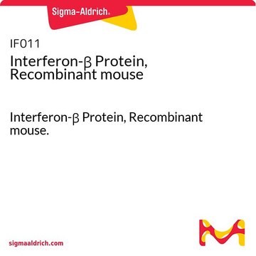 Interferon-&#946; Protein, Recombinant mouse Interferon-&#946; Protein, Recombinant mouse.