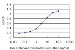 Monoclonal Anti-SEMA4B antibody produced in mouse clone 4B2, purified immunoglobulin, buffered aqueous solution