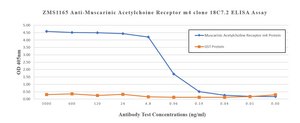 Anti-Cardiac Troponin T Antibody, clone 1G6 ZooMAb&#174; Rabbit Monoclonal recombinant, expressed in HEK 293 cells