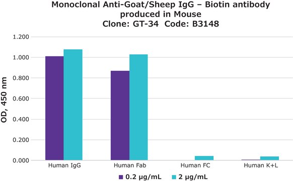 Anti-Goat/Sheep IgG&#8722;Biotin antibody, Mouse monoclonal clone GT-34, purified from hybridoma cell culture