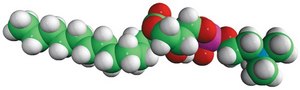 13:0 Lyso PC 1-tridecanoyl-2-hydroxy-sn-glycero-3-phosphocholine, powder