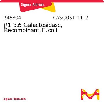 &#946;1-3,6-Galactosidase, Recombinant, E. coli