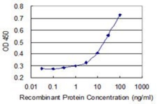 Monoclonal Anti-PHKA2 antibody produced in mouse clone 1D4, purified immunoglobulin, buffered aqueous solution