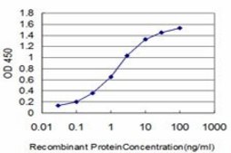 ANTI-HOXB7 antibody produced in mouse clone 3F3, purified immunoglobulin, buffered aqueous solution