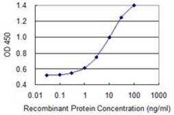 Monoclonal Anti-PREP antibody produced in mouse clone 2D7, purified immunoglobulin, buffered aqueous solution