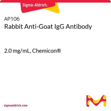 Rabbit Anti-Goat IgG Antibody 2.0&#160;mg/mL, Chemicon&#174;