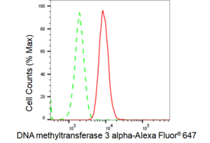 Anti DNA methyltransferase 3 alpha Antibody, clone 23GB2230, Rabbit Monoclonal clone 23GB2230, recombinant rabbit monoclonal, expressed in HEK293 cells