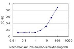 Monoclonal Anti-KCNE1 antibody produced in mouse clone 2A6, purified immunoglobulin, buffered aqueous solution