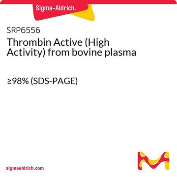 Thrombin Active (High Activity) from bovine plasma &#8805;98% (SDS-PAGE)