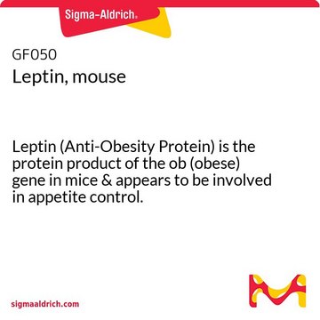 小鼠瘦素 Leptin (Anti-Obesity Protein) is the protein product of the ob (obese) gene in mice &amp; appears to be involved in appetite control.