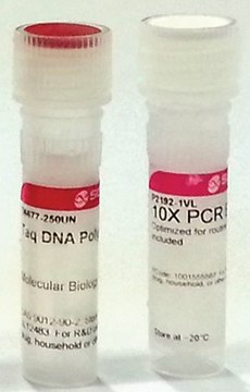 Taq DNA Polymerase from Thermus aquaticus with 10× PCR reaction buffer containing MgCl2