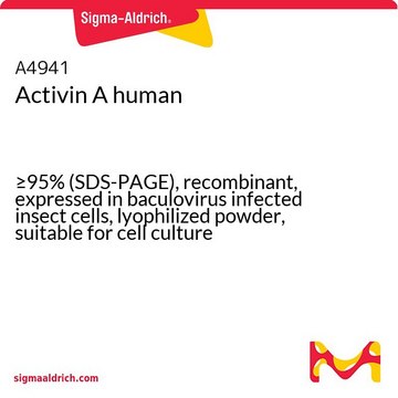 激活素 A 人 &#8805;95% (SDS-PAGE), recombinant, expressed in baculovirus infected insect cells, lyophilized powder, suitable for cell culture