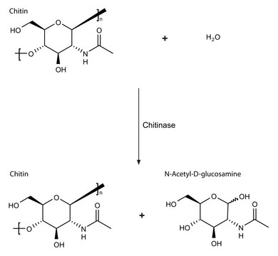 灰链霉菌来源几丁质酶 lyophilized powder (essentially salt free), &#8805;200&#160;units/g solid