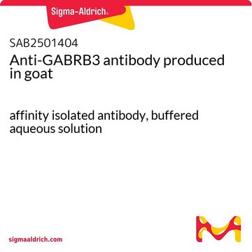 Anti-GABRB3 antibody produced in goat affinity isolated antibody, buffered aqueous solution