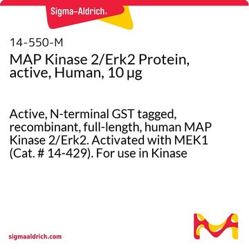 MAP Kinase 2/Erk2 Protein, active, Human, 10 &#181;g Active, N-terminal GST tagged, recombinant, full-length, human MAP Kinase 2/Erk2. Activated with MEK1 (Cat. # 14-429). For use in Kinase Assays.