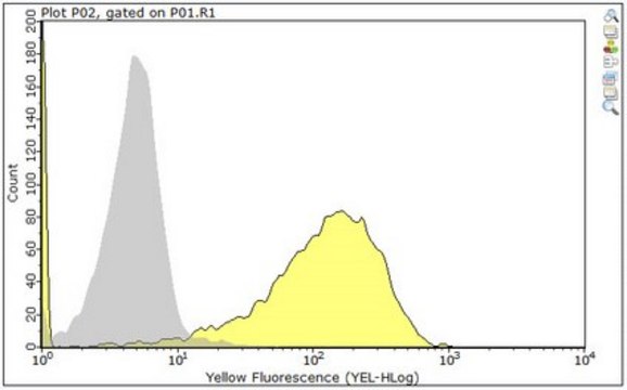 Anti-Platelet Factor 4 Antibody, clone 197.2 clone 197.2, from mouse