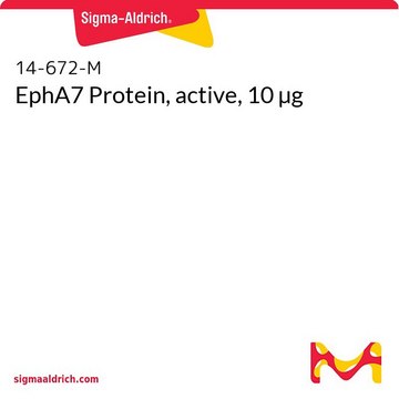 EphA7 Protein, active, 10 µg