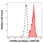 Monoclonal Anti-CD300e, purified low endotoxin produced in mouse