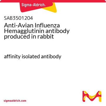 Anti-Avian Influenza Hemagglutinin antibody produced in rabbit affinity isolated antibody