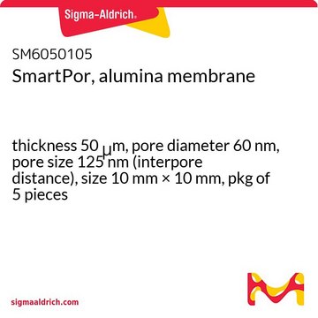 SmartPor, alumina membrane thickness 50&#160;&#956;m, pore diameter 60&#160;nm, pore size 125&#160;nm (interpore distance), size 10&#160;mm × 10&#160;mm, pkg of 5&#160;pieces