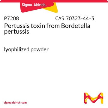 Pertussis toxin from Bordetella pertussis lyophilized powder