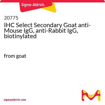 IHC Select Secondary Goat anti-Mouse IgG, anti-Rabbit IgG, biotinylated from goat