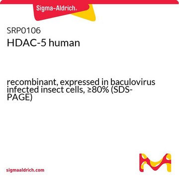 HDAC-5 human recombinant, expressed in baculovirus infected insect cells, &#8805;80% (SDS-PAGE)