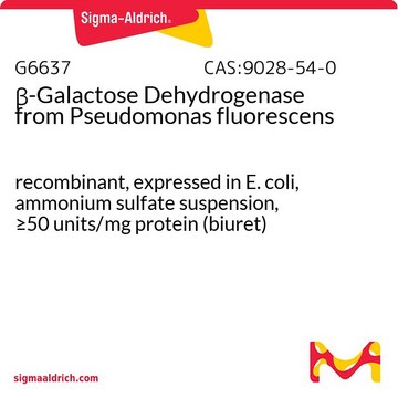 &#946;-Galactose Dehydrogenase from Pseudomonas fluorescens recombinant, expressed in E. coli, ammonium sulfate suspension, &#8805;50&#160;units/mg protein (biuret)