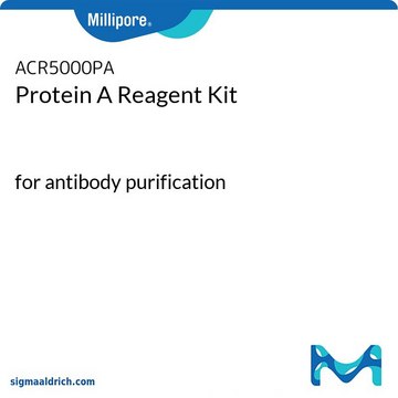 Protein A Reagent Kit for antibody purification