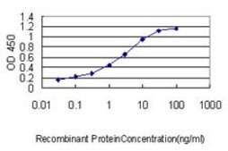 Monoclonal Anti-SLA2 antibody produced in mouse clone 3G5, purified immunoglobulin, buffered aqueous solution
