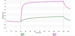 Anti-PLCH2 Antibody, clone 3J3 ZooMAb® Rabbit Monoclonal recombinant, expressed in HEK 293 cells