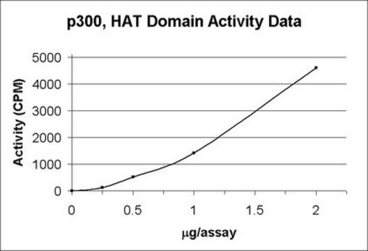 p300，HAT域 Recombinant GST-fusion protein corresponding to amino acids 1066-1707 of human p300.