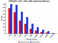 Anti-ATP6AP1 (451-465) antibody produced in rabbit IgG fraction of antiserum, PBS solution