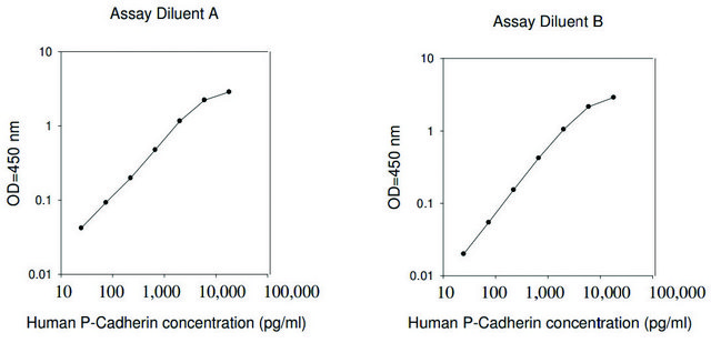 人类 P-钙粘素 ELISA试剂盒 for serum, plasma, cell culture supernatant and urine