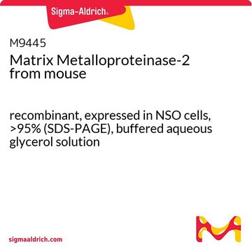 基质金属蛋白酶2 来源于小鼠 recombinant, expressed in NSO cells, &gt;95% (SDS-PAGE), buffered aqueous glycerol solution