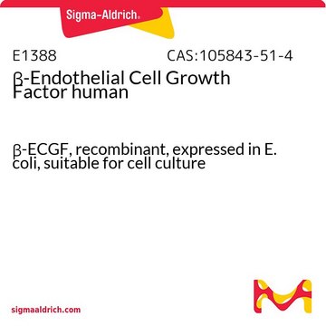 &#946;-Endothelial Cell Growth Factor human &#946;-ECGF, recombinant, expressed in E. coli, suitable for cell culture