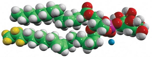 15:0-18:1-d7-PI Avanti Research&#8482; - A Croda Brand