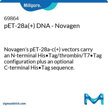 pET-28a(+) DNA - Novagen Novagen&#8242;s pET-28a-c(+) vectors carry an N-terminal His•Tag/thrombin/T7•Tag configuration plus an optional C-terminal His•Tag sequence.