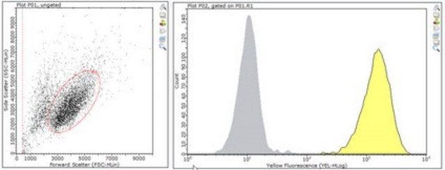 Anti-CCR5 (CD195) Antibody, clone HEK/1/85a/7a clone HEK/1/85a/7a, from rat