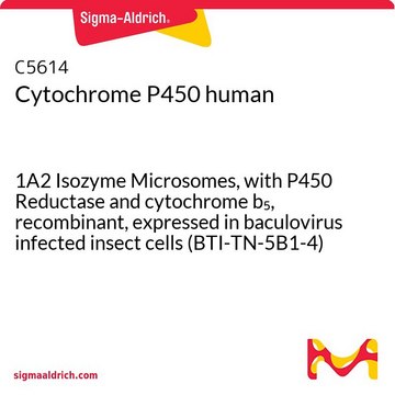 细胞色素P450 人 1A2 Isozyme Microsomes, with P450 Reductase and cytochrome b5, recombinant, expressed in baculovirus infected insect cells (BTI-TN-5B1-4)