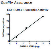 EGFR (L858R) Active human recombinant, expressed in baculovirus infected insect cells, ≥70% (SDS-PAGE)