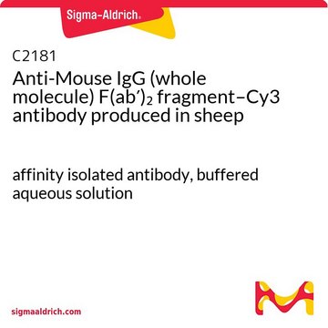 抗小鼠IgG（完整分子）F(ab&#8242;)2 片段–Cy3 绵羊抗 affinity isolated antibody, buffered aqueous solution