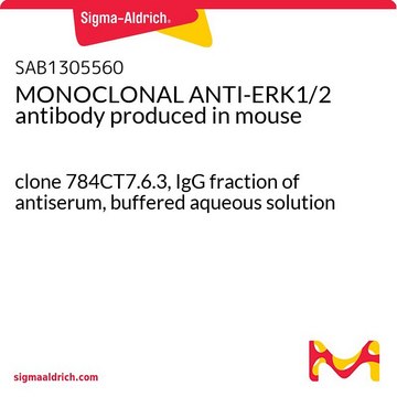 MONOCLONAL ANTI-ERK1/2 antibody produced in mouse clone 784CT7.6.3, IgG fraction of antiserum, buffered aqueous solution