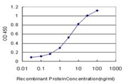 ANTI-GRK6 antibody produced in mouse clone 8D9, purified immunoglobulin, buffered aqueous solution