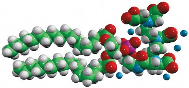 18:0 PE-DTPA Avanti Polar Lipids 791300P, powder