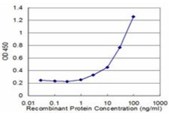 Monoclonal Anti-DTNB, (N-terminal) antibody produced in mouse clone 1D3, purified immunoglobulin, buffered aqueous solution