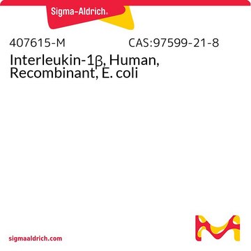 Interleukin-1&#946;, Human, Recombinant, E. coli